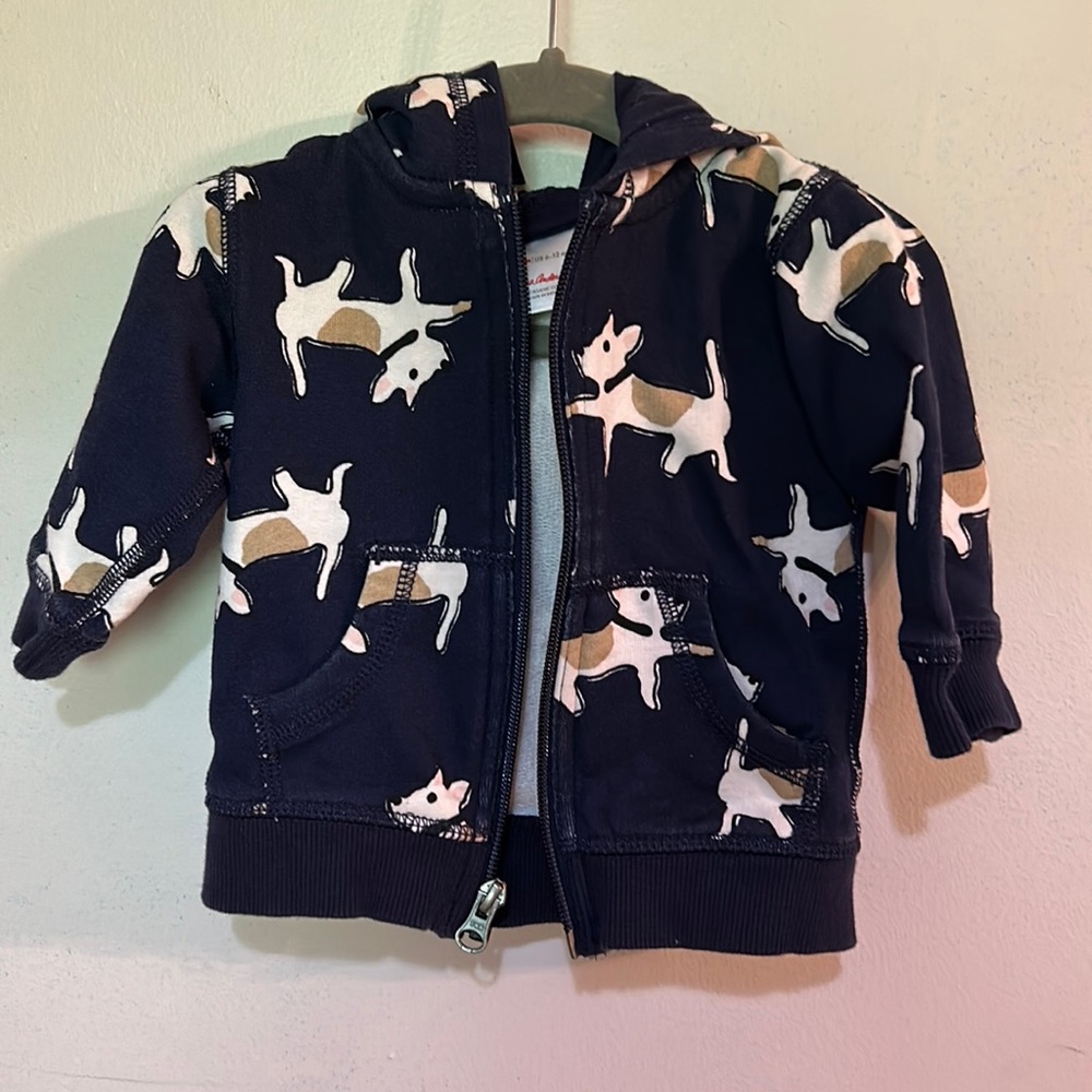 Hanna Anderson French Terry Hoodie